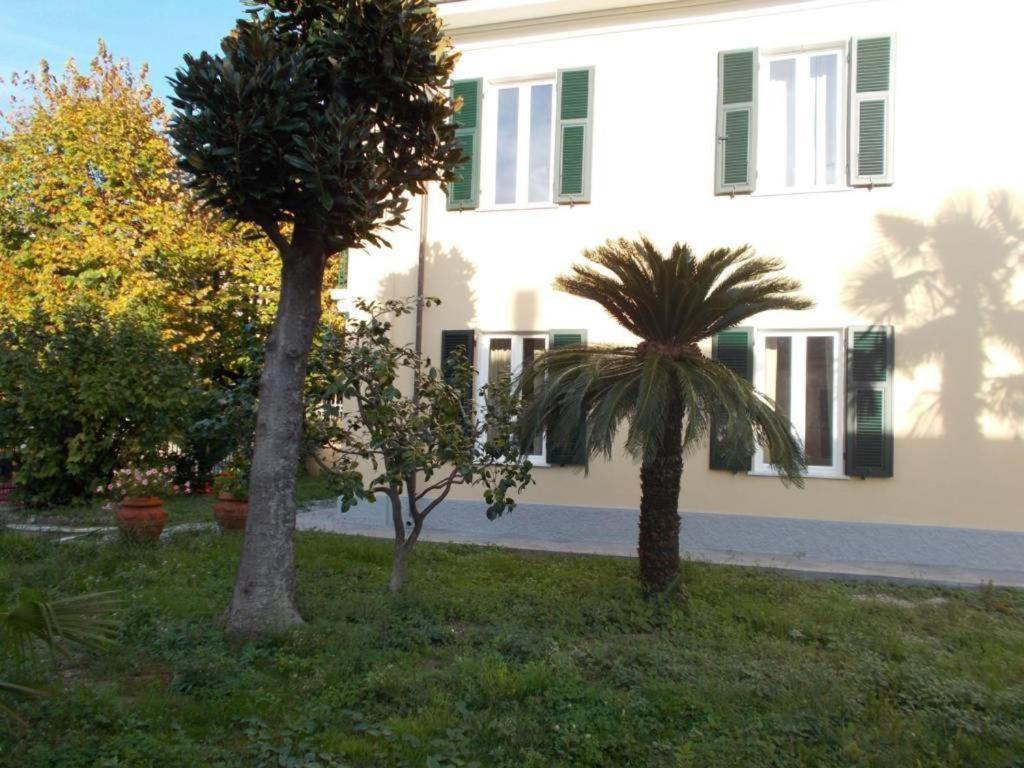 B&B Rossana Carrara Dış mekan fotoğraf