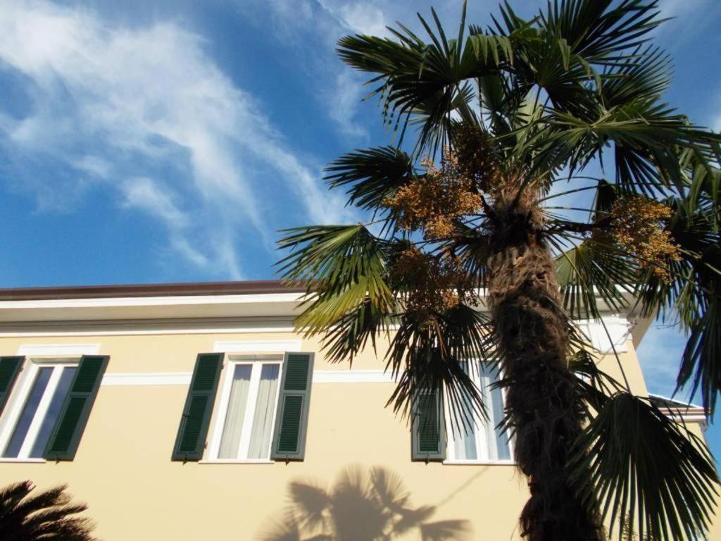 B&B Rossana Carrara Dış mekan fotoğraf